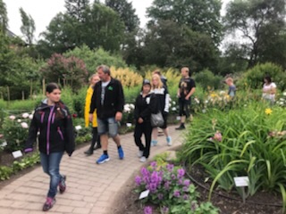 Naturhistorisk museum – Botanisk hage